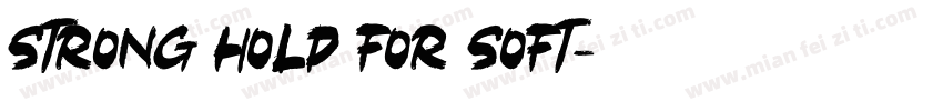 Strong hold For soft字体转换